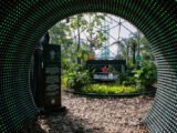 Primavera Sound São Paulo será laboratório de soluções sustentáveis em 2026